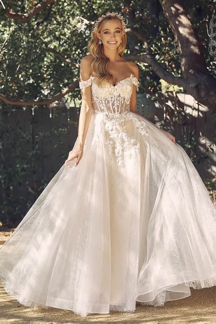 Bridal Gown Image 2